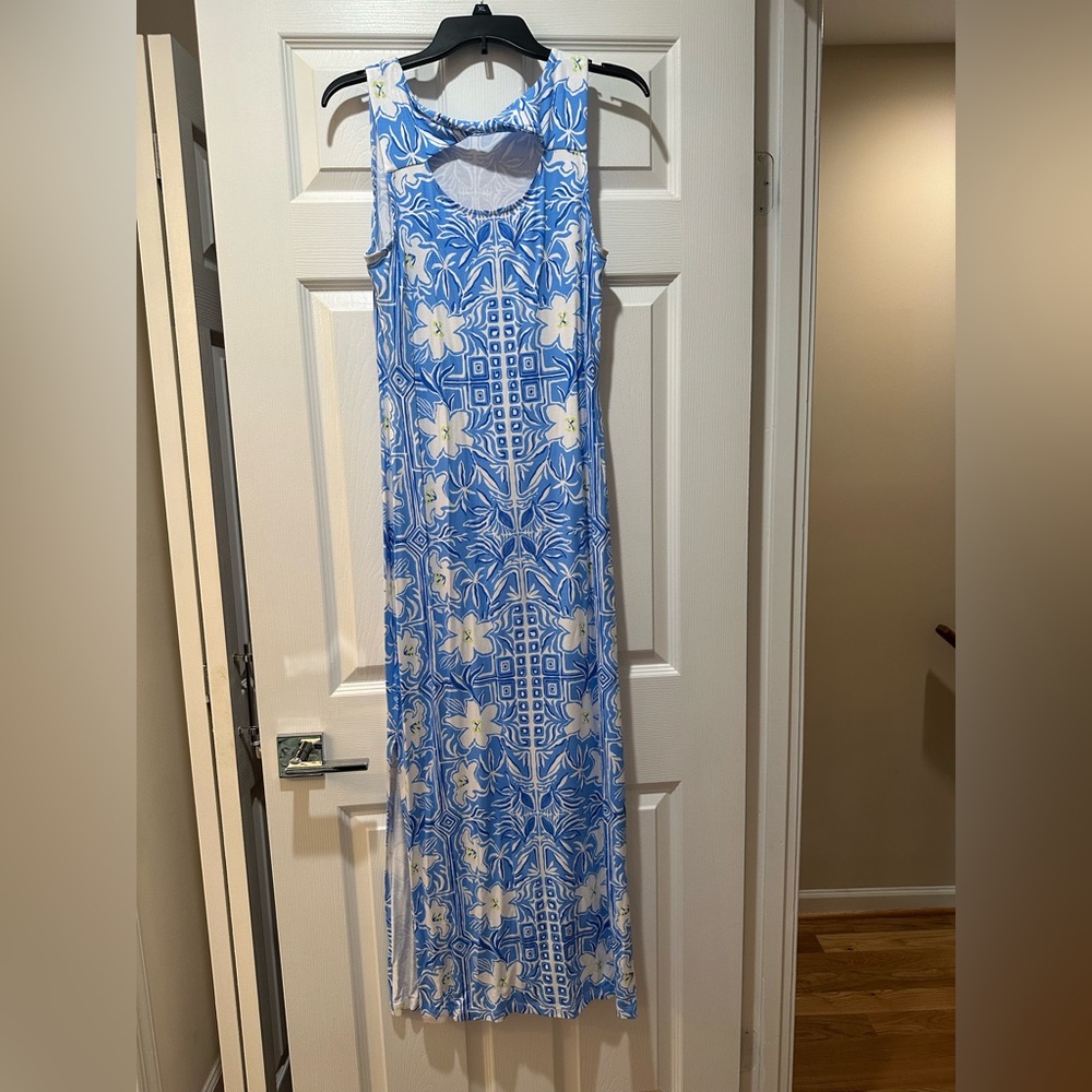 Blue and White Sleeveless Maxi Sundress